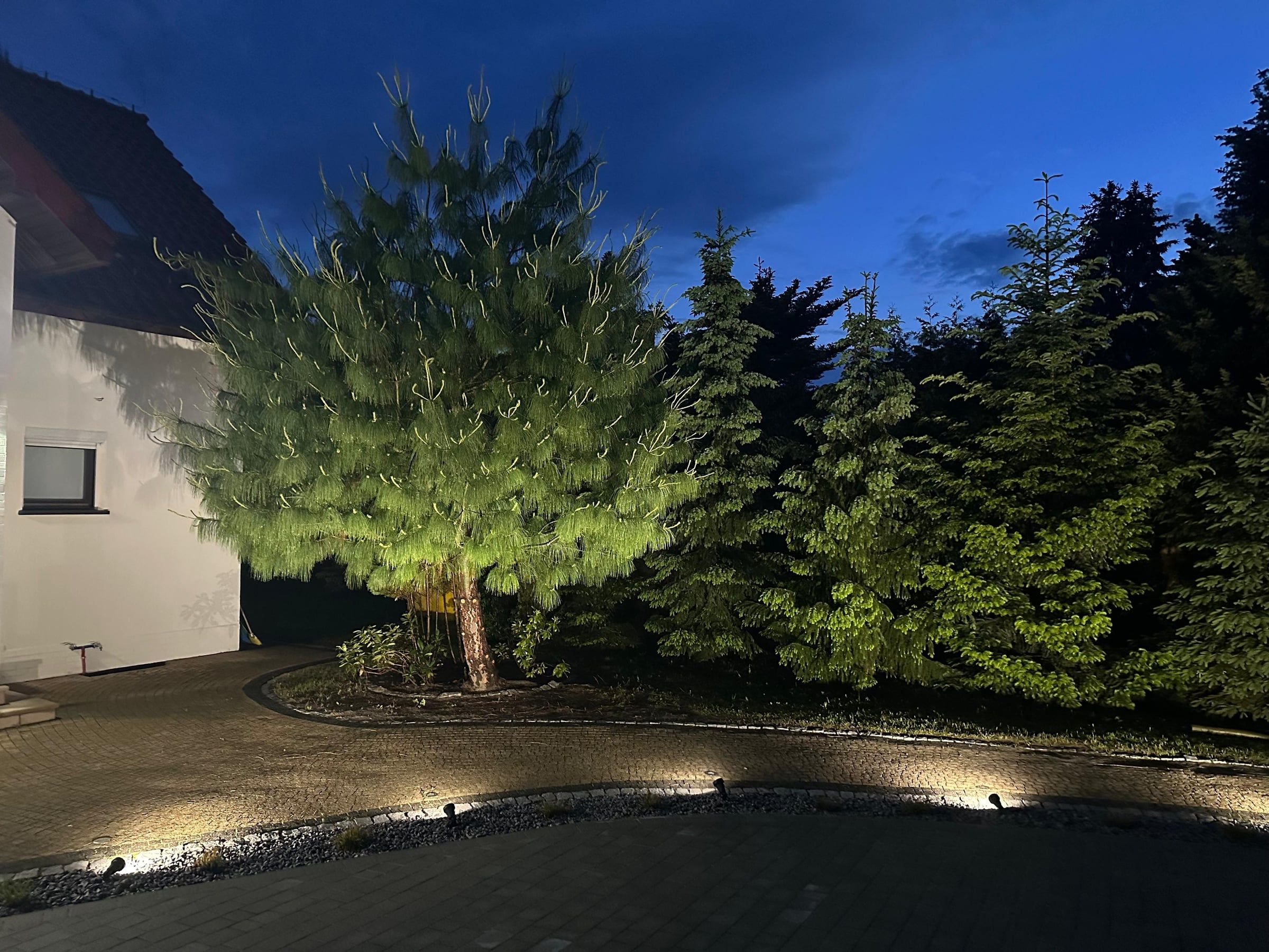 Podjazd o zmierzchu z oprawami wzdłuż obrzeża i sosną podświetloną reflektorem